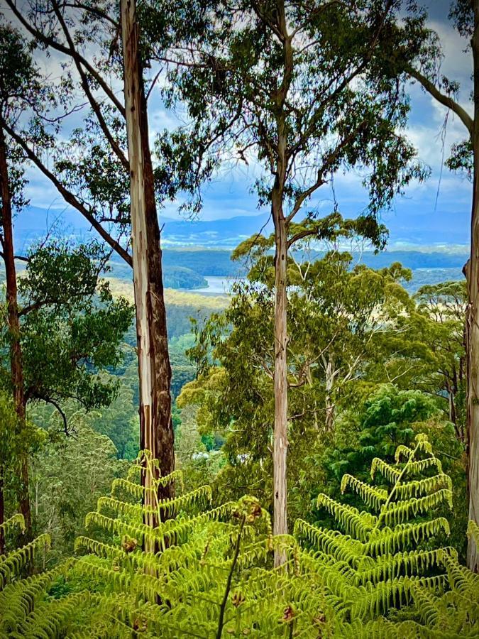 Melbourne Topview In Dandenong Ranges Near Skyhigh Villa *