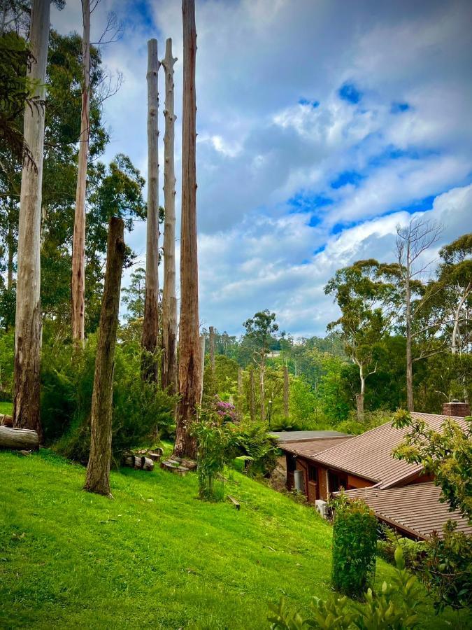 Melbourne Topview In Dandenong Ranges Near Skyhigh Kalorama