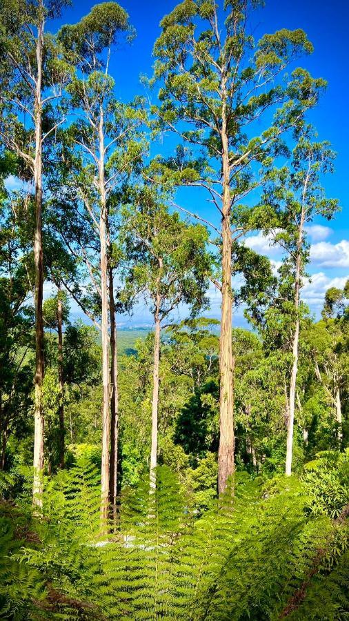 Melbourne Topview In Dandenong Ranges Near Skyhigh * Kalorama