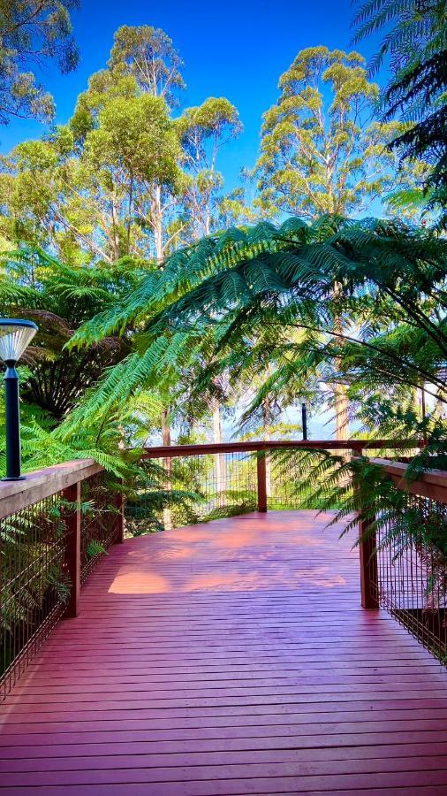 Melbourne Topview In Dandenong Ranges Near Skyhigh Kalorama