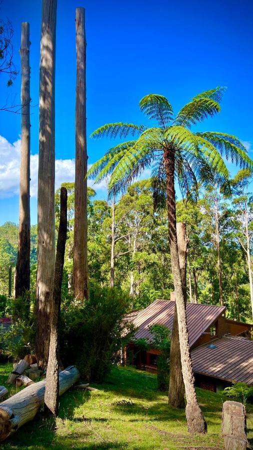 Melbourne Topview In Dandenong Ranges Near Skyhigh Kalorama