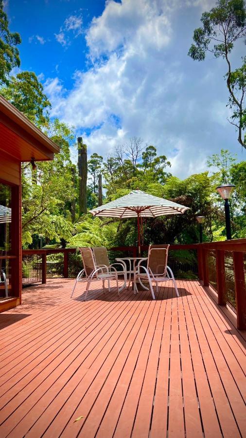 Melbourne Topview In Dandenong Ranges Near Skyhigh