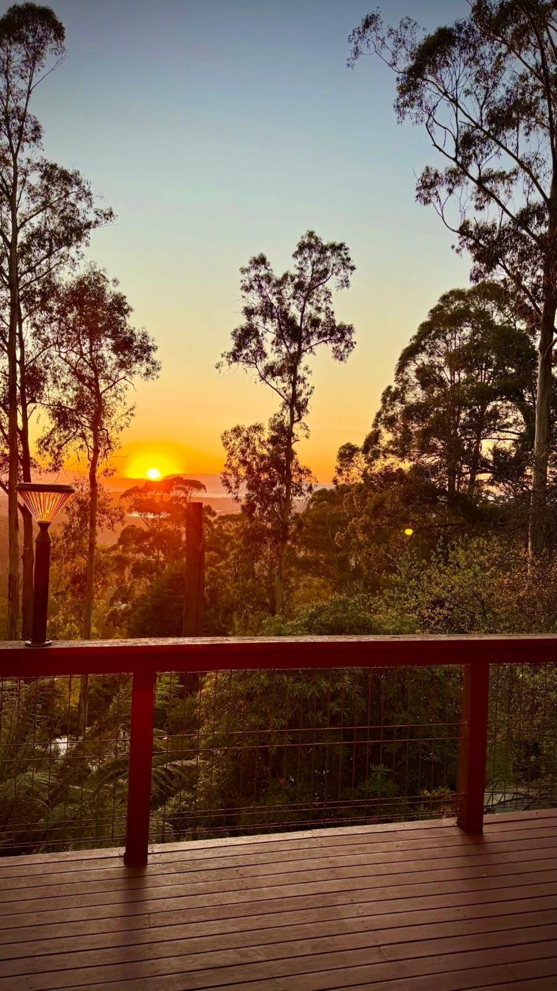 Melbourne Topview In Dandenong Ranges Near Skyhigh * Kalorama