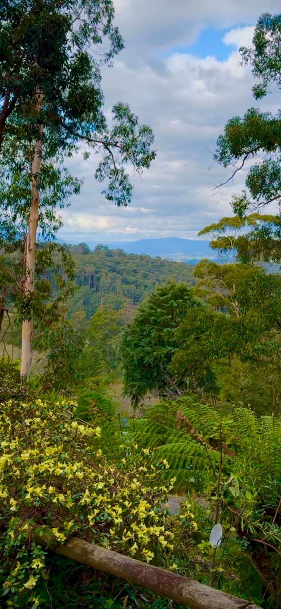 Melbourne Topview In Dandenong Ranges Near Skyhigh *