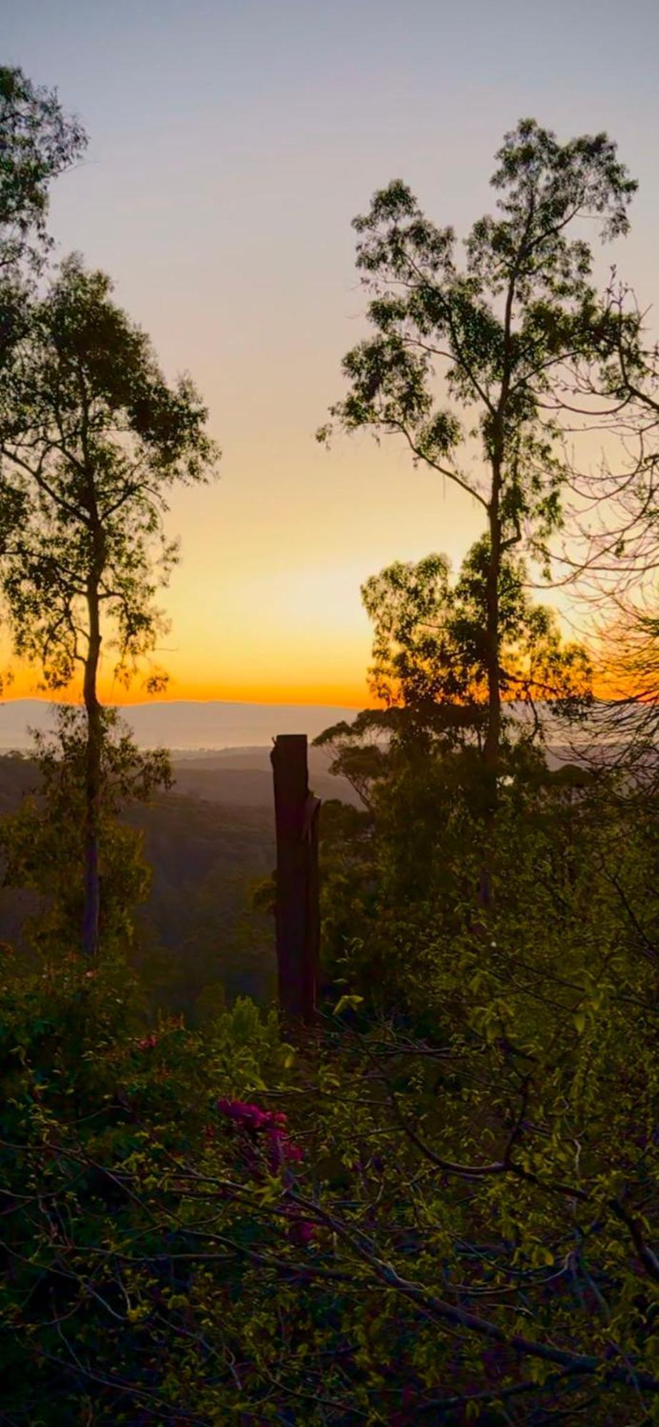 Melbourne Topview In Dandenong Ranges Near Skyhigh Villa *