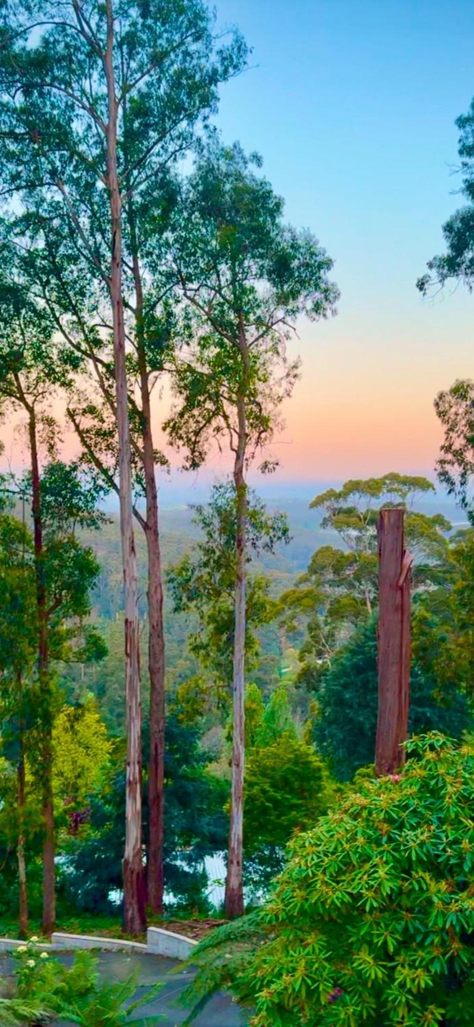Melbourne Topview In Dandenong Ranges Near Skyhigh Villa *