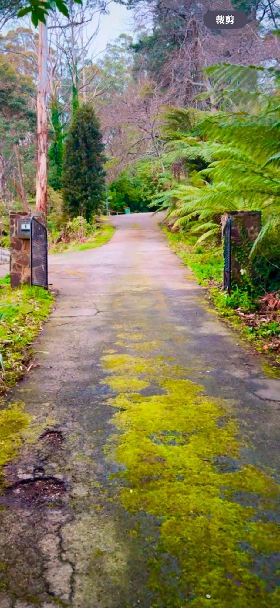 Melbourne Topview In Dandenong Ranges Near Skyhigh Villa Kalorama